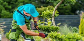 SE BUSCA JARDINERO PARA TAREAS DE JARDINERÍA Y MANTENIMIENTO DE ZONAS VERDES EN CONDOMINIOS, JORNADA COMPLETA jardinero gardener