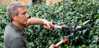 SE SOLICITA AYUDANTE DE JARDINERO PART TIME 3 DÍAS A LA SEMANA (LUNES, MARTES Y MIÉRCOLES), BUEN PAGO jardinero gardener