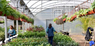 SE NECESITAN OPERARIOS/AS DE PRODUCCIÓN PARA EMPRESA DE PLANTAS ORNAMENTALES, TIEMPO PARCIAL Y/O COMPLETO operarios as de produccion productions operators