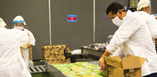SOLICITAMOS PERSONAL DE ETIQUETADO Y PRODUCCIÓN, TIEMPO COMPLETO operarios de etiquetado labeling operator