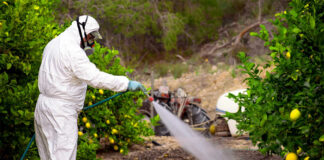 SE SOLICITA JARDINERO, CHAPEADOR Y FUMIGADOR PARA EMPRESA FERRETERA, TIEMPO PARCIAL Y/O COMPLETO personal de jardineria landscaping staff