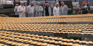 SE NECESITA PERSONAL DE PRODUCCIÓN Y EMPAQUE DE TOSTADAS (HOMBRES Y MUJERES), FULL TIME 2DO TURNO DISPONIBLE personal de produccion y empaque para fabrica de tostadas production and packaging staff for toast factory