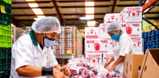 SE SOLICITA PERSONAL PARA EMPRESA DE PRODUCCIÓN AGRÍCOLA (HOMBRES Y MUJERES), VARIOS PUESTOS DISPONIBLES personal para almacen de produccion agricola staff for agricultural production warehouse hombres y mujeres