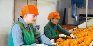 SE BUSCAN TRABAJADORES PARA EMPACAR NARANJAS (HOMBRES Y/O MUJERES), FULL TIME 40 HORAS SEMANALES personal para empacar naranjas staff to pack oranges