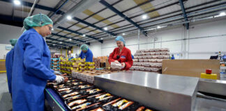 SE SOLICITA PERSONAL PARA PLANTA DE EMPAQUE (HOMBRES Y/O MUJERES), OFRECEMOS BUEN SUELDO personal para planta de empaque packing plant staff