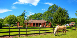 SE NECESITA TRABAJADOR PARA LIMPIEZA Y MANTENIMIENTO DE RANCHO, FULL TIME trabajador para rancho ranch worker female and male staff