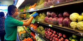 cajeros y gondoleros para supermercado de frutas y verduras cajeras y repositores cashiers and repositories supermarket staff