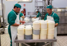 SE BUSCAN 10 OPERARIOS/AS DE LÍNEA DE PRODUCCIÓN PARA FÁBRICA DE QUESOS GOURMET VÍA RANDSTAD EN CHIVA, VALENCIA (1 AÑO DE EXPERIENCIA, CARNET DE MANIPULADOR Y VEHÍCULO), CAMPAÑA DE NAVIDAD. PAGO DE 11,09 € POR HORA empaquetadores envasadores de queso packers cheese packers