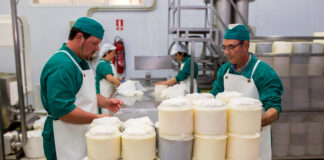 SE SOLICITAN EMPAQUETADORES DE QUESO (HOMBRES Y MUJERES) PARA EMPRESA LÁCTEA, FULL TIME empaquetadores envasadores de queso packers cheese packers