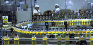 SE NECESITAN OPERARIOS/AS PARA ENVASADORA DE ACEITE DE OLIVA Y EXPLOTACIÓN AGRÍCOLA, TIEMPO COMPLETO (2 VACANTES) envasadores de aciete de oliva hombres y mujeres olive oil packers for men and women empresa envasdora de aceite de oliva