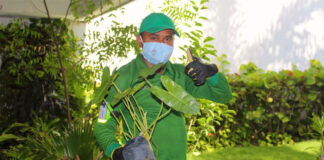 jardinero con o sin experiencia gardener with or without experience male staff personal masculino