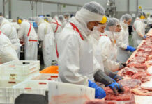 SE BUSCAN 100 PELADORES/AS DE CANGREJOS DE RÍO PARA TOUPS CRAWFISH EN BASILE, LUISIANA (SIN EXPERIENCIA, H-2B TEMPORAL), 35 HORAS SEMANALES. PAGO DE $13.83 POR HORA personal de produccion para empresa de carnes y mariscos production staff for meat and seafood company