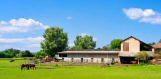 SE BUSCAN TRABAJADORES PARA FINCA DE GANADO DIVERSIFICADO, PART TIME Y FULL TIME. VIVIENDA EN EL LUGAR trabajadores para rancho mono de obra general workers for general work mono ranch
