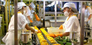 SE SOLICITA PERSONAL PARA PRODUCCIÓN DE ALIMENTOS (HOMBRES Y MUJERES), CON O SIN EXPERIENCIA. TIEMPO COMPLETO Personal Para Producción de Alimentos Food Production Personnel female and male staff hombres y mujeres