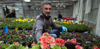 BUSCAMOS PERSONAL DE VIVERO (PLANTADORES Y AYUDANTES EN GENERAL), PART TIME Y FULL TIME Personal de Vivero, Plantadores, Ayudantes en General Nursery Staff, Planters, General Helpers