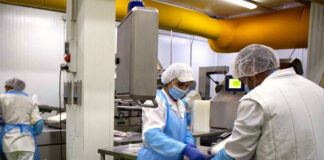 SE NECESITA PERSONAL DE PRODUCCIÓN SIN EXPERIENCIA PARA INDUSTRIA ALIMENTICIA, SE OFRECE ENTRENAMIENTO PAGADO personal de produccion operarios de produccion general Cargill laobor general production operators female and male staff fabrica