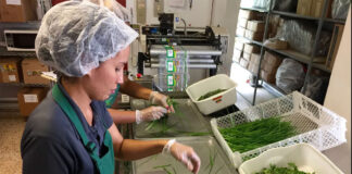 SE NECESITAN OPERARIOS PARA ENVASADO Y ETIQUETADO (HOMBRES Y MUJERES), TRABAJO EN LINEA DE PRODUCCIÓN, CON O SIN EXPERIENCIA Operarios de envasado y eteiquetado de hierbas aromaticas especias infusiones Operators of packaging and labeling of aromatic herbs spices infusions