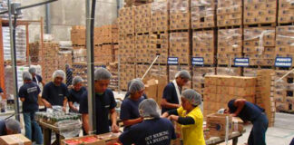 SE SOLICITA PERSONAL PARA EMPAQUE, REEMPAQUE Y ETIQUETADO (HOMBRES Y MUJERES). 50 VACANTES, CON O SIN EXPERIENCIA Personal Trabajadores Para Empaque, Etiquetado y Paletizado Workers For Packaging, Labeling and Palletizing