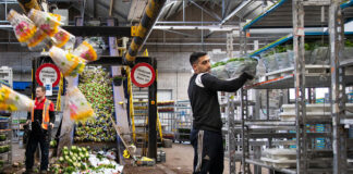 SELECCIONAMOS PERSONAL PARA ALMACÉN DE FLORES (HOMBRES), CON O SIN EXPERIENCIA. BUEN PAGO POR HORA Personal para almacen de flores trabajadores para almacen de flores female and male staff warehouse flowers