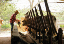 Trabajador para finca Farm hand peon de ganado granja vacuno empleado para recibir ganado employed to receive cattle