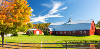 SE SOLICITAN AYUDANTES DE RANCHO (CUIDADO, LIMPIEZA Y MANTENIMIENTO), EXPERIENCIA DESEABLE. HORARIO FLEXIBLE, PART TIME Y FULL TIME Ayudantes de rancho trabajadores para rancho mono de obra general workers for general work mono ranch