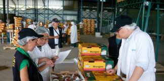 SE SOLICITA PERSONAL DE ENVASADO DE FRUTAS CON O SIN EXPERIENCIA (HOMBRES Y MUJERES), JORNADA COMPLETA TURNOS ROTATIVOS Personal para Envasado de frutas Personnel for Fruit Packaging
