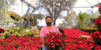 SE NECESITAN TRABAJADORES DE INVERNADERO (CON O SIN EXPERIENCIA), PARA INDUSTRIA FLORAL. PART TIME Y FULL TIME Trabajador para vivero nursery worker personal de vivero