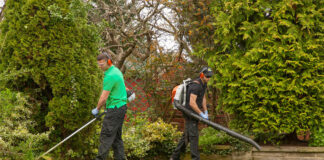 SE SOLICITA JARDINERO PARA LIMPIEZA, MANTENIMIENTO Y DISEÑO DE JARDINES (MÍNIMA EXPERIENCIA), BUEN PAGO jardinero gardener limpieza y mantenimiento de jardines