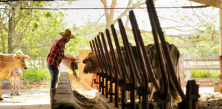 SE SOLICITA AYUDANTE DE RANCHO (CON O SIN EXPERIENCIA), SE OFRECE VIVIENDA Y BUEN PAGO POR HORA Ayudante de rancho trabajador para rancho de ganado cattle ranch worker