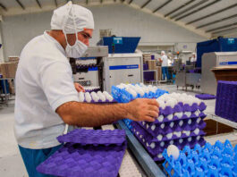 Operarios de empaque para bodega de huevos personal walmart Walmart personal egg packing workers
