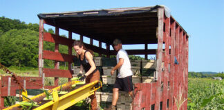 SE SOLICITAN OBREROS AGRÍCOLAS PARA COSECHA DE MAÍZ (MÍNIMA EXPERIENCIA), 1ER TURNO. 75 VACANTES obreros agricolas para cosecha de maiz peon agricola para finca de maiz agricultural peon for corn farm