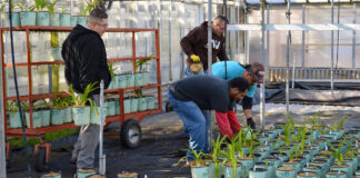 Ayudantes Para Vivero De Plantas Plant Nursery Helpers male staff personal masculino