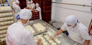 Operarios de producción y envasado empaquetadores envasadores de queso packers cheese packers