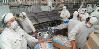 SE BUSCAN TRABAJADORES/AS GENERALES PARA EMPAQUE (CON O SIN EXPERIENCIA), PARA INDUSTRIA PROVEEDORA DE POLLOS. 2 TURNOS DISPONIBLES Trabajadores Generales Para Empaque packers female and male staff