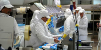 SE SOLICITAN HOMBRES Y MUJERES PARA PRODUCCIÓN DE ALIMENTOS (CON O SIN EXPERIENCIA), 2DO TURNO. BUEN PAGO hombres y mujeres para produccion de alimentos trabajadores para produccion y empacado de alimentos food production and packaging workers