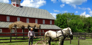 SE SOLICITAN AYUDANTES PARA RANCHO (NO REQUIERE EXPERIENCIA), 6 VACANTES. JORNADAS PART TIME Y FULL TIME Ayudantes Para Rancho Ranch Helpers trabajadores para rancho personal masculino male staff