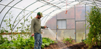 SE SOLICITA 6 TRABAJADORES/AS PARA INVERNADERO (CON O SIN EXPERIENCIA). JORNADA PART TIME Y FULL TIME Trabajadores Para Invernadero Greenhouse Workers personal masculino para invernadero male staff