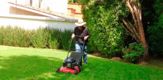 SE NECESITA JARDINERO 3 DÍAS A LA SEMANA, JORNADA COMPLETA. PERSONA RESPONSABLE Y PUNTUAL jardinero sin experiencia empresa de servicios de jardineria inexperienced gardeners gardening service company