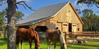 SE SOLICITA AYUDANTE PARA RANCHO (CON O SIN EXPERIENCIA), PART TIME. TURNO DIURNO DE 4 HORAS DIARIAS DE LUNES A VIERNES trabajador Para Rancho farm hand Farm Hand personal masculino empleo sin experiencia male staff