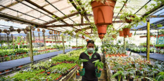 SE BUSCA TRABAJADOR DE VIVERO CON O SIN EXPERIENCIA (HOMBRE Y MUJER), FULL TIME. SE OFRECE BUEN SUELO Y BENEFICIOS trabajador de vivero hombres y mujeres jardinero para vivero nursery gardener