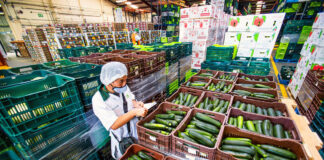 SE BUSCAN MANIPULADORES/AS DE FRUTAS Y HORTALIZAS PARA LÍNEAS DE PRODUCCIÓN, TIEMPO PARCIAL Y COMPLETO Encajadores De Frutas y Verduras Personnel for Fruit and Vegetable Warehouse female and male staff personal masculino y femenino