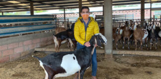 SE SOLICITAN 4 AYUDANTES PARA GRANJA (CON O SIN EXPERIENCIA), PART TIME Y FULL TIME. TURNO MAÑANA O TARDE ayudante para granja empleado para granja de cabra lecheras employee for dairy goat farm male staff