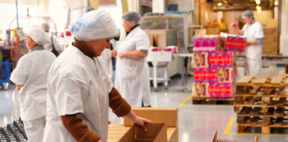SE SOLICITAN OPERADORES DE PRODUCCIÓN (HOMBRES Y MUJERES), PARA EMPRESA FABRICANTE DE SNACKS. EXPERIENCIA MÍNIMA operadores de produccion packers empacadores para fabrica de snacks female and male staff