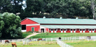 SE SOLICITA TRABAJADOR PARA CUIDADO Y MANTENIMIENTO DE FINCA (EXPERIENCIA MÍNIMA), SE OFRECEN EXCELENTES CONDICIONES LABORALES empleado-para-fincaaaa-farm