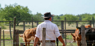 SE NECESITA TRABAJADOR/A PARA FINCA DE GANADO (MÍNIMA EXPERIENCIA), JORDANA COMPLETA DE LUNES A VIERNES. SE OFRECE VIVIENDA Y BUEN SUELDO Vaquero- vaquera Mayoral