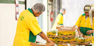 SE SOLICITAN EMPACADORES 3 DÍAS A LA SEMANA PARA ALMACÉN DE FRUTAS (MUJERES Y HOMBRES), CON O SIN EXPERIENCIA empacadores hombres y mujeres de frutas
