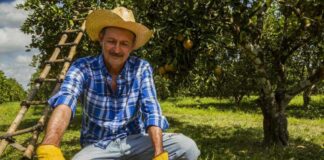 SE SOLICITAN TRABAJADORES/AS AGRICOLAS (MANIJERO CÍTRICO), PARA RECOLECCIÓN DE CÍTRICOS, JORNADA COMPLETA. SALARIO SEGÚN CONVENIO manijero citrico peon agricola hombres y mujeres