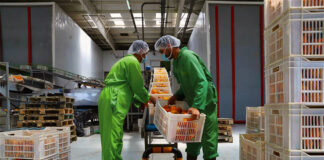 SE NECESITA OPERARIO/A DE ENVASADO PARA EMPRESA ALIMENTICIA (CON O SIN EXPERIENCIA), INCORPORACIÓN INMEDIATA. BUEN PAGO Y BENEFICIOS operario de envasado empacadores de alimentos food packers female and male staff personal masculino y femenino