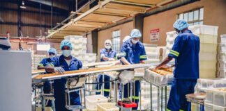 SE PRECISAN OPERARIOS DE FABRICA (HOMBRES Y MUJERES) EXPERIENCIA MÍNIMA. TURNOS ROTATIVOS MAÑANA, TARDE Y NOCHE operarios de fabrica