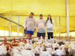 Ayudantes para granja avícola Poultry Farm Helpers hombres y mujeres female and male staff